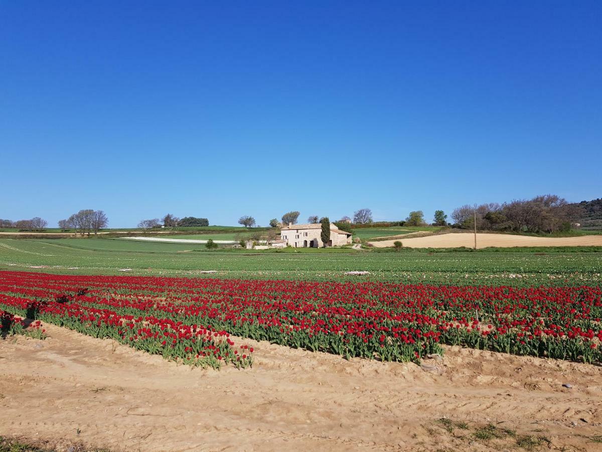 Grange Voutee Avec Jardin Villa Mane  Exterior foto